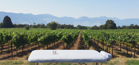 Zeel Brings Massage On Demand To Napa and Sonoma