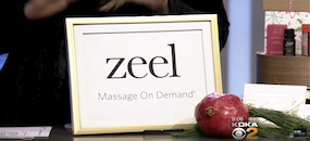 Zeel Massage On Demand in CBS Pittsburgh, Food Mood Girl’s Local Holiday Gift Ideas