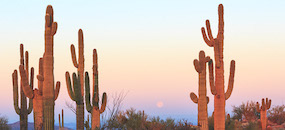 Zeel Launches Massage On Demand In Tucson